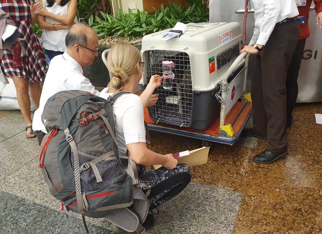 pepper in crate